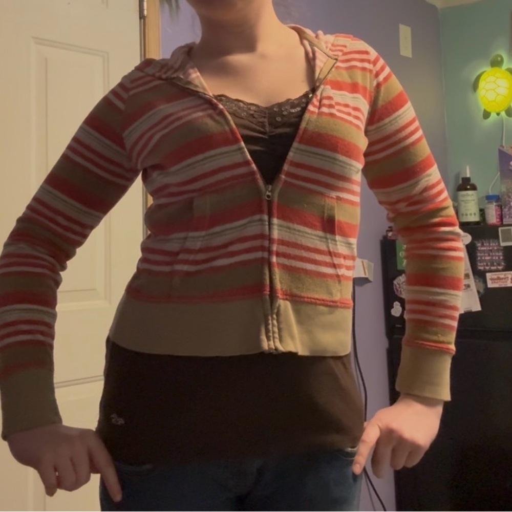 American Eagle Outfitters Multicolor Striped Hoodie